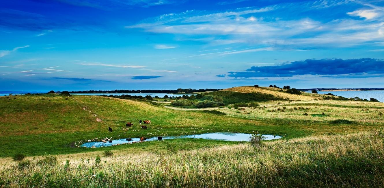 Fyns landskab