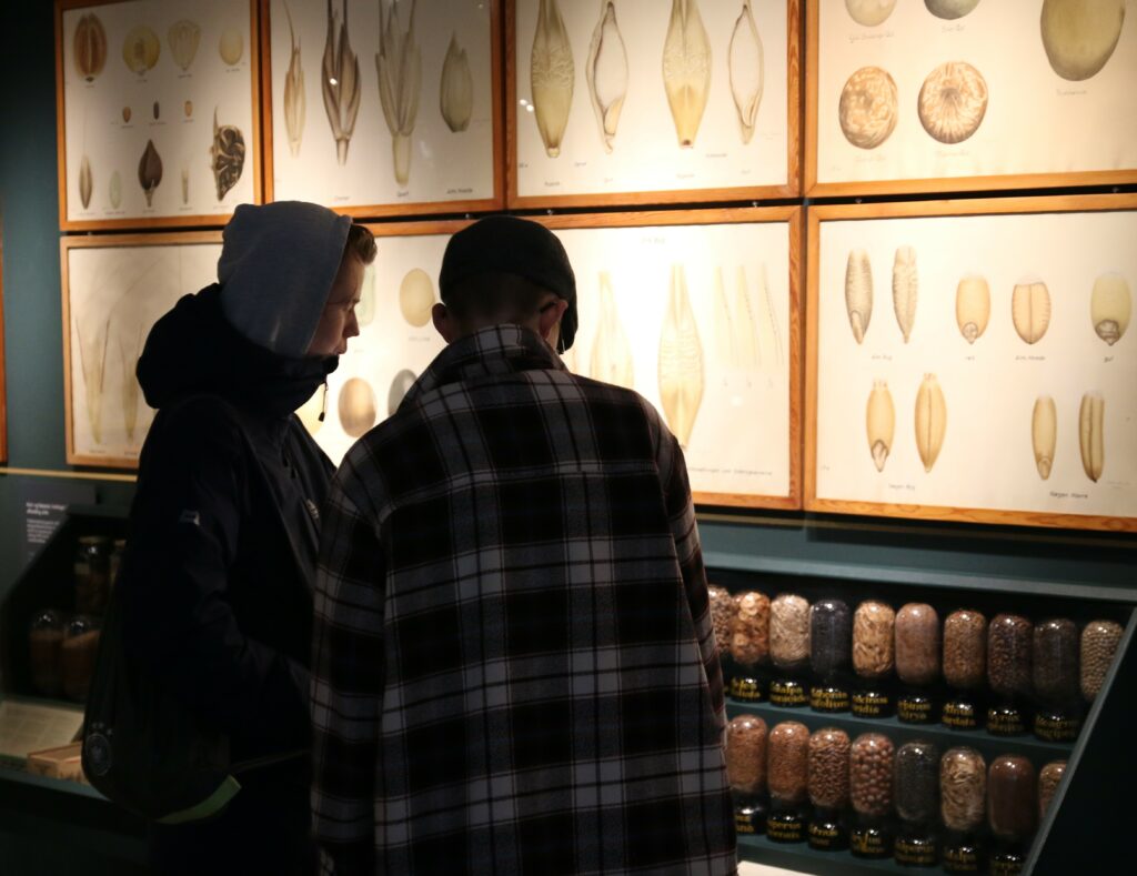 Ausstellungen