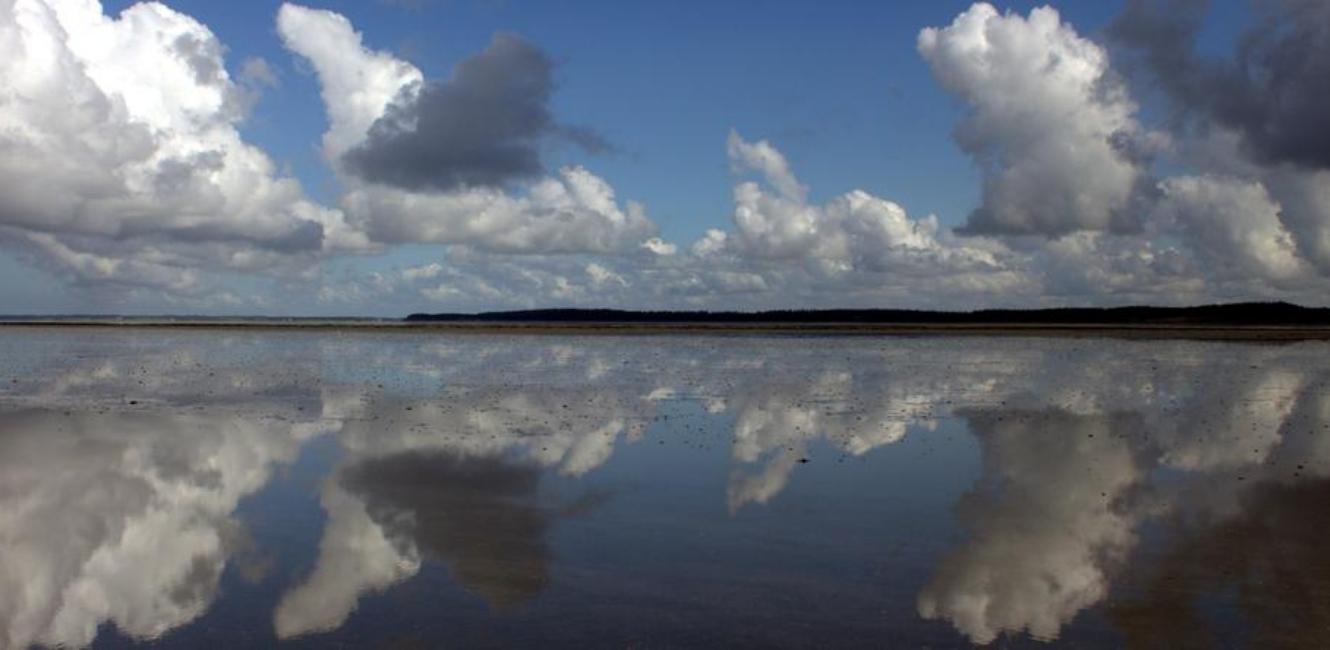 Wasser