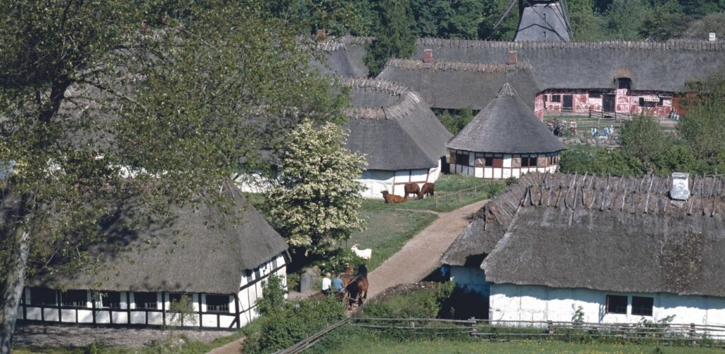 Das Dorf