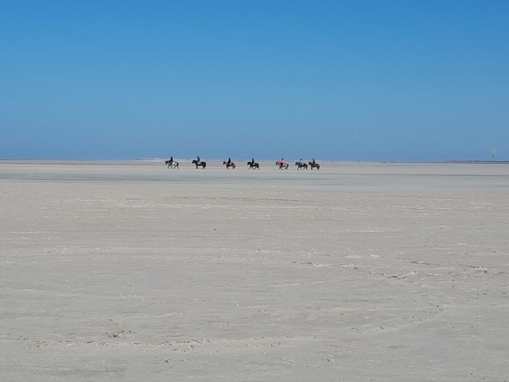 Strand auf Rømø