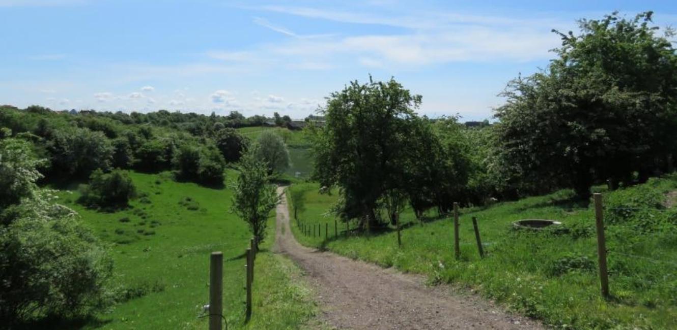 der Weg zum Madsby