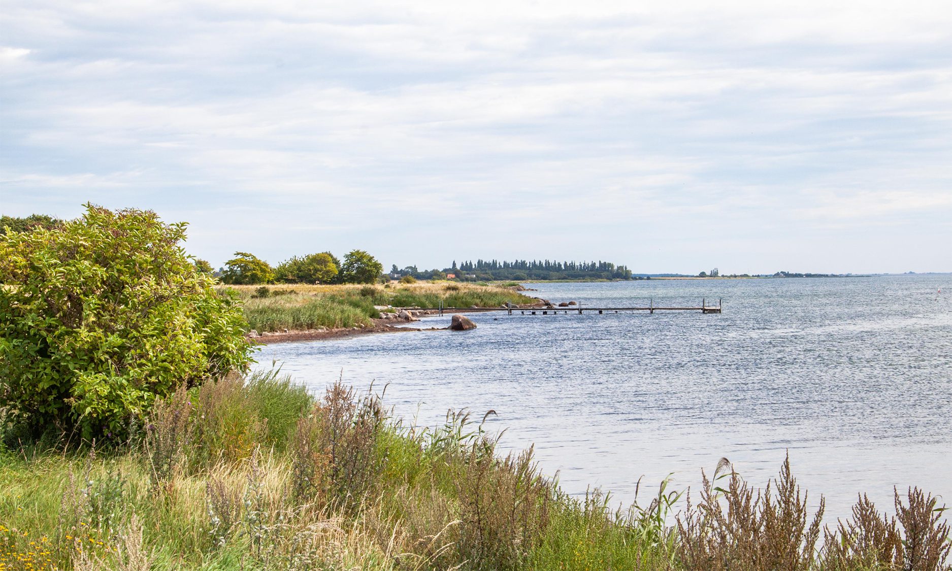 Die Luxusferienhäuser bei Hummingen Strand liegen in schöner Natur