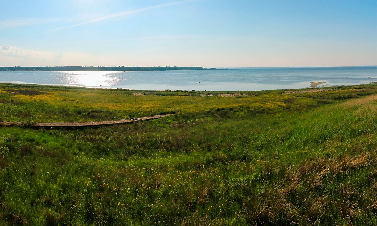 Limfjord
