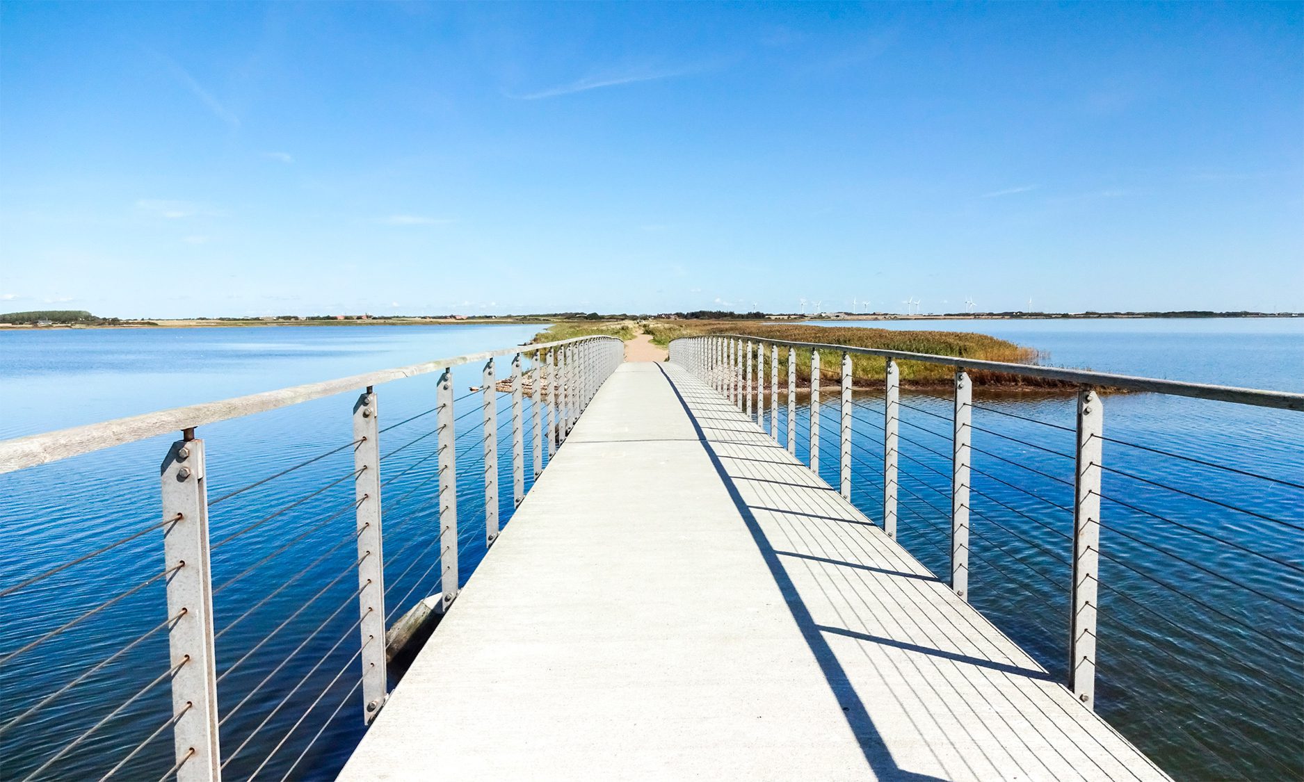 Picknick im Urlaub am Ringkøbing Fjord mit Ferienhaus