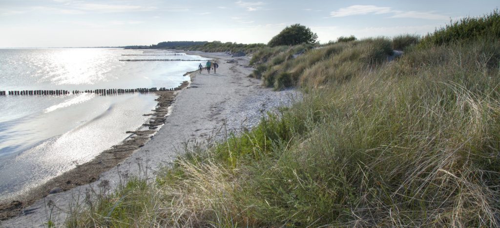 Am Strand an der Ostseeküste der Insel Møn