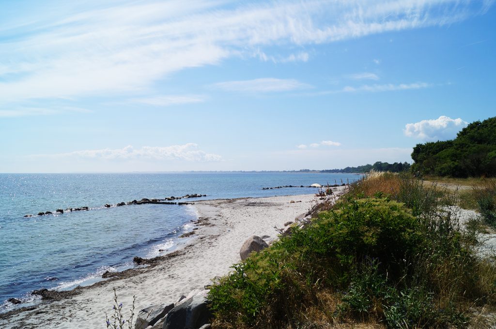 Strand am Møn in Dänemark