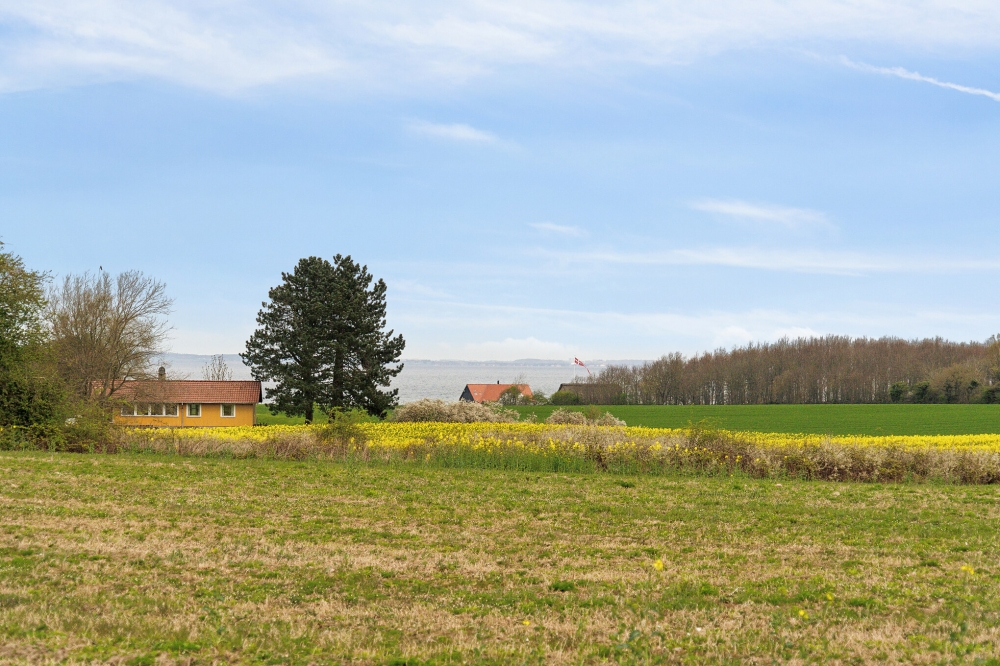 Machen Sie Urlaub im Luxusferienhaus Nr. 315 in Fünen und seine Inseln.