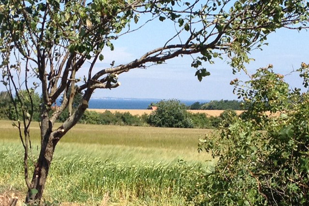 Machen Sie Urlaub im Luxusferienhaus Nr. 318 in Fünen und seine Inseln.