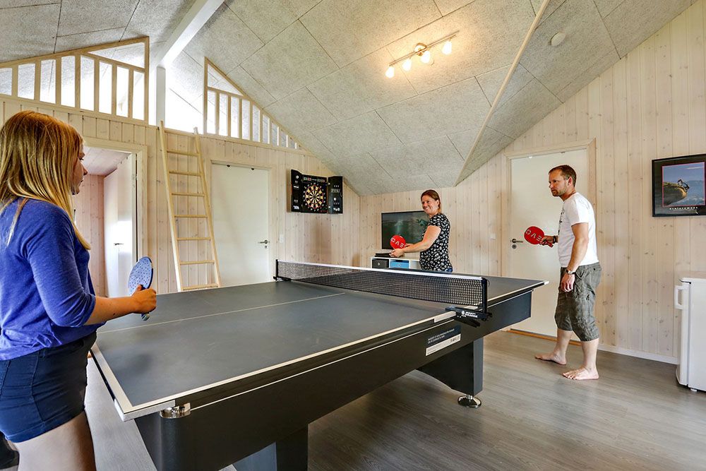 Das Luxusferienhaus 353 für 14 Personen hat einen großen Aktivitätsraum mit u. a. Billard und Darts