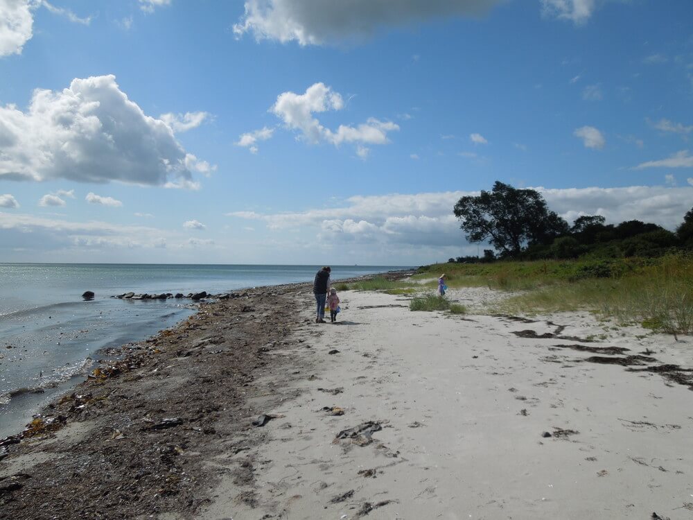 Der Strand in der Nähe von Luxusferienhaus Nr. 355.