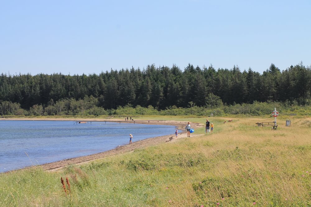 Der Strand in der Nähe von Luxusferienhaus Nr. 373.