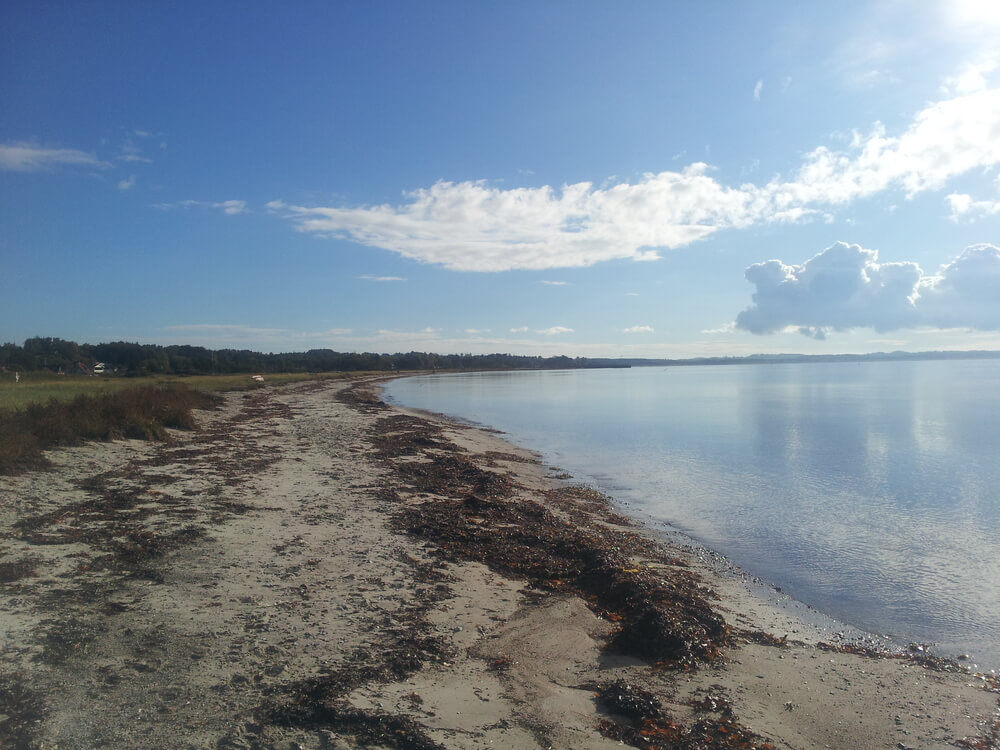 Der Strand in der Nähe von Luxusferienhaus Nr. 423.