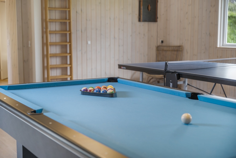 Das Luxusferienhaus 440 für 24 Personen hat einen großen Aktivitätsraum mit u. a. Billard und Darts