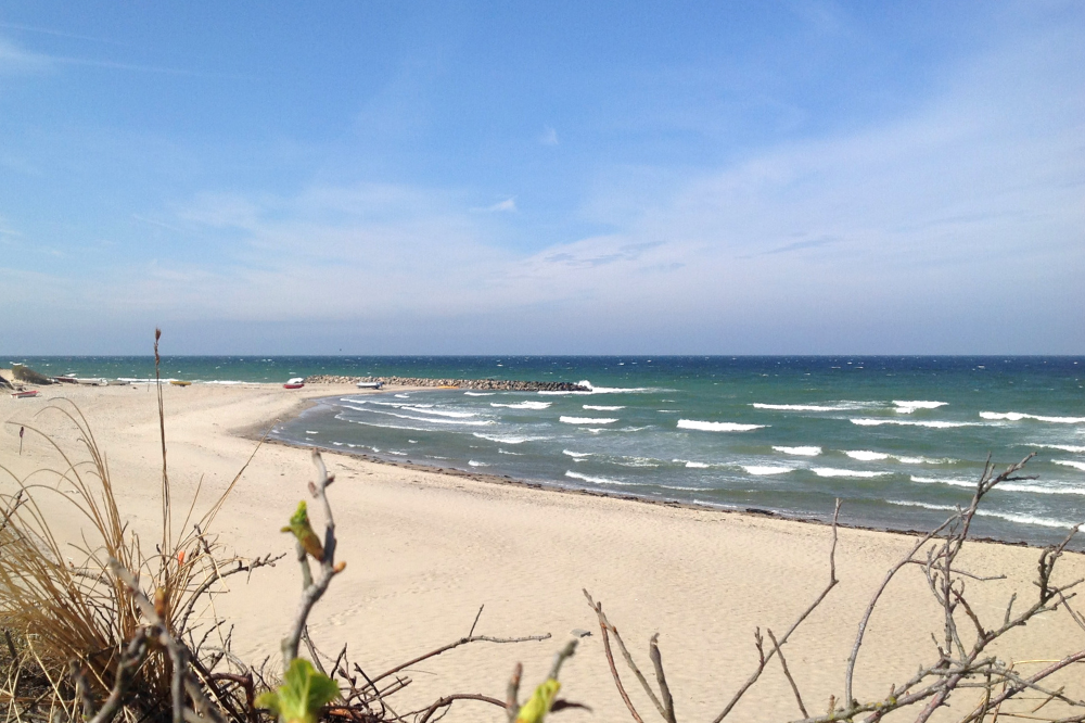 Der herrliche Strand in der Nähe von Luxusferienhaus Nr. 436 bei Nordseeland.