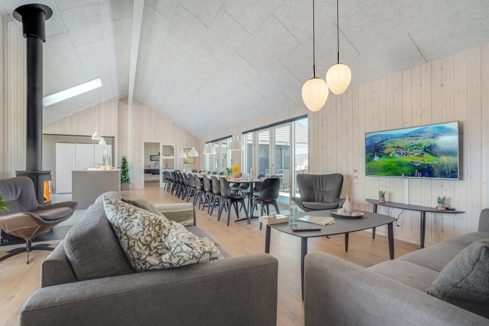 Die Couch im Luxusferienhaus Nr. 542 in Limfjord lädt zu Gesellschaftsspielen oder zu Kinoabenden ein.
