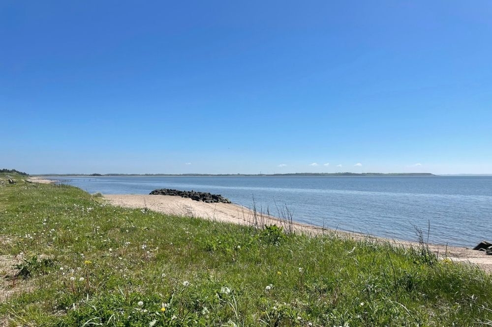 Der herrliche Strand in der Nähe von Luxusferienhaus Nr. 547 bei Limfjord.
