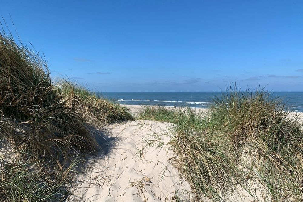 Machen Sie Urlaub im Luxusferienhaus Nr. 554 in Westjütland.