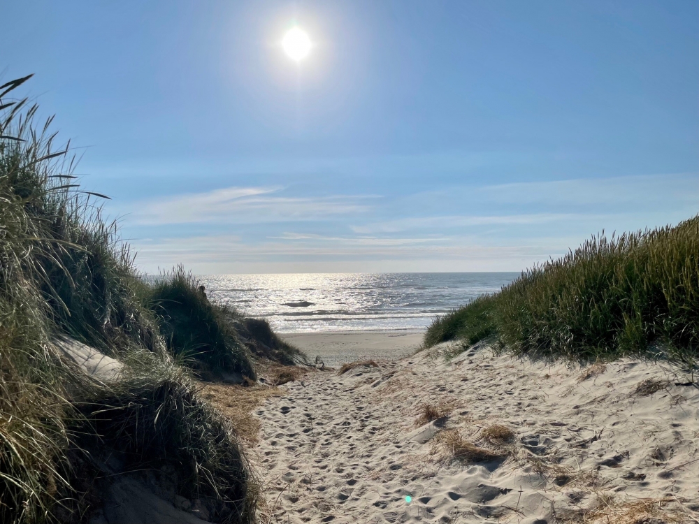 Der herrliche Strand in der Nähe von Luxusferienhaus Nr. 557 bei Westjütland.