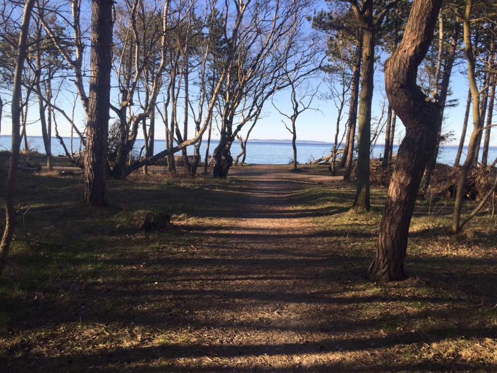 Der Strand in der Nähe von Luxusferienhaus Nr. 582.