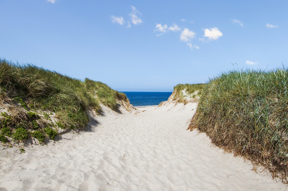 Der Strand in der Nähe von Luxusferienhaus Nr. 585.