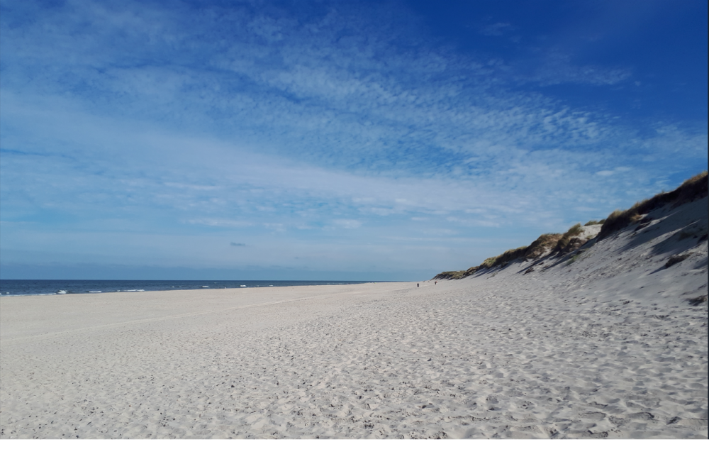 Der herrliche Strand in der Nähe von Luxusferienhaus Nr. 585 bei Westjütland.