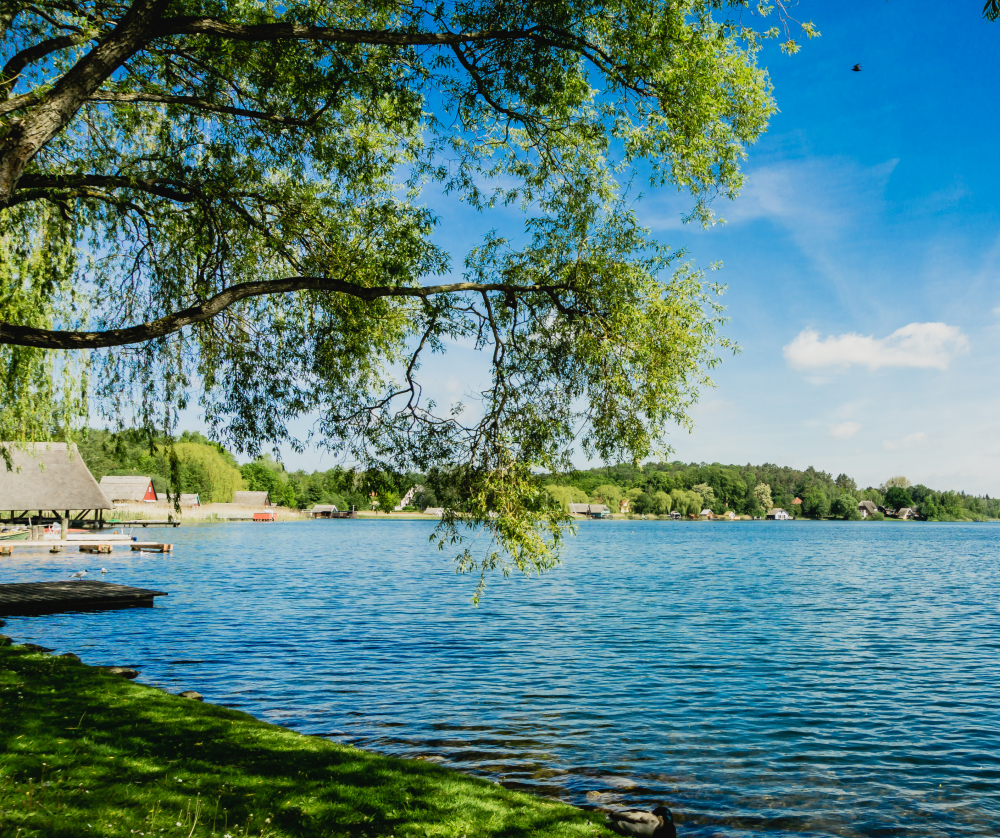 Machen Sie Urlaub im Luxusferienhaus Nr. 752 in Deutschland.