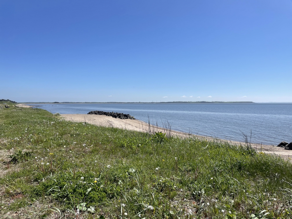 Der herrliche Strand in der Nähe von Luxusferienhaus Nr. 603 bei Limfjord.