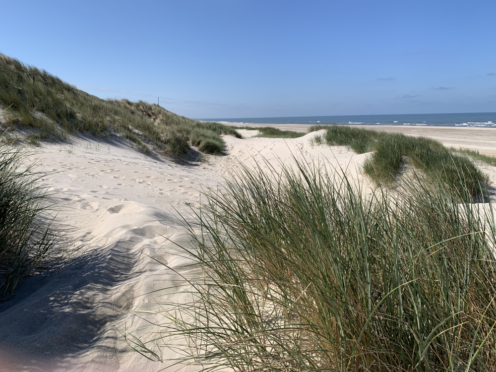 Der Strand in der Nähe von Luxusferienhaus Nr. 605.