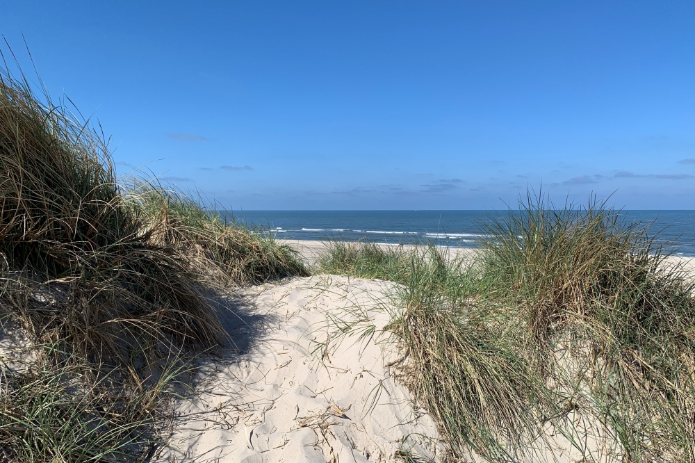 Der herrliche Strand in der Nähe von Luxusferienhaus Nr. 605 bei Westjütland.