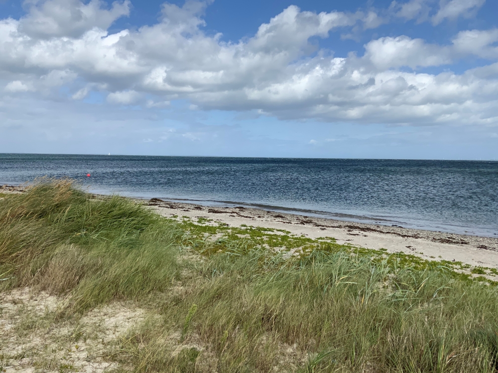 Der herrliche Strand in der Nähe von Luxusferienhaus Nr. 606 bei Ostjütland.