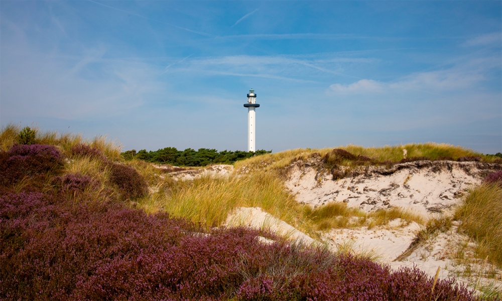 Machen Sie Urlaub im Luxusferienhaus Nr. 621 in Bornholm.