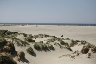 Der Strand in der Nähe von Luxusferienhaus Nr. 624.