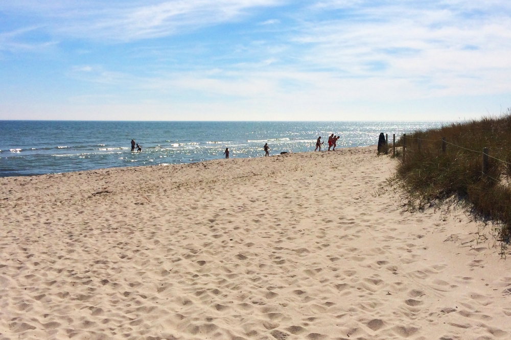Der herrliche Strand in der Nähe von Luxusferienhaus Nr. 626 bei Lolland/Falster/Mön.