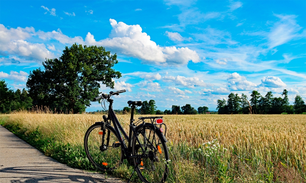 Machen Sie Urlaub im Luxusferienhaus Nr. 644 in Lolland/Falster/Mön.