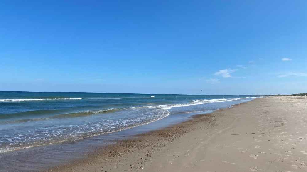 Der herrliche Strand in der Nähe von Luxusferienhaus Nr. 651 bei Nordjütland.