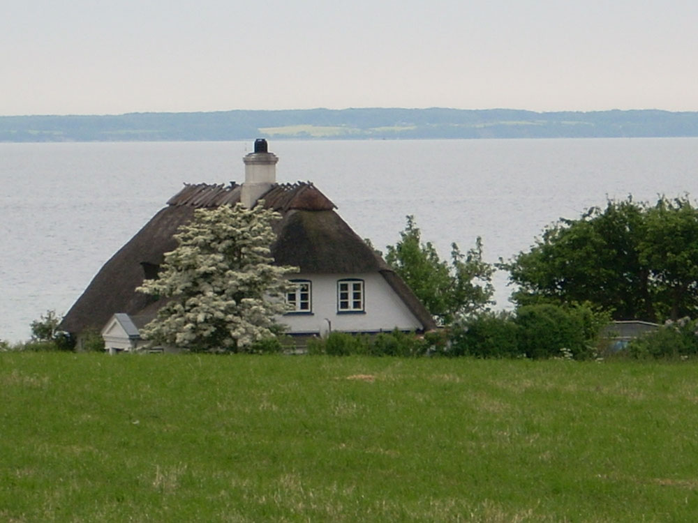 Das wunderschöne Gebiet Südjütland lädt zu einem Aufenthalt in Luxusferienhaus Nr. 241 ein.