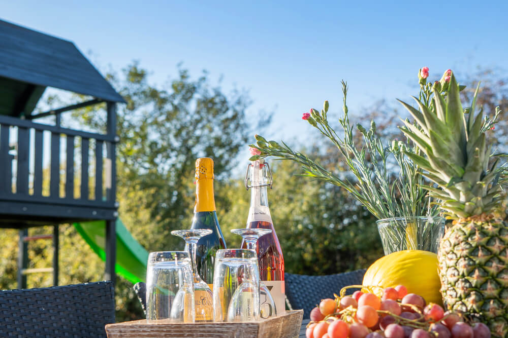 Das Luxusferienhaus Nr. 241 hat eine tolle Terrasse, die mit hochwertigen Gartenmöbeln für 16 Personen ausgestattet ist.