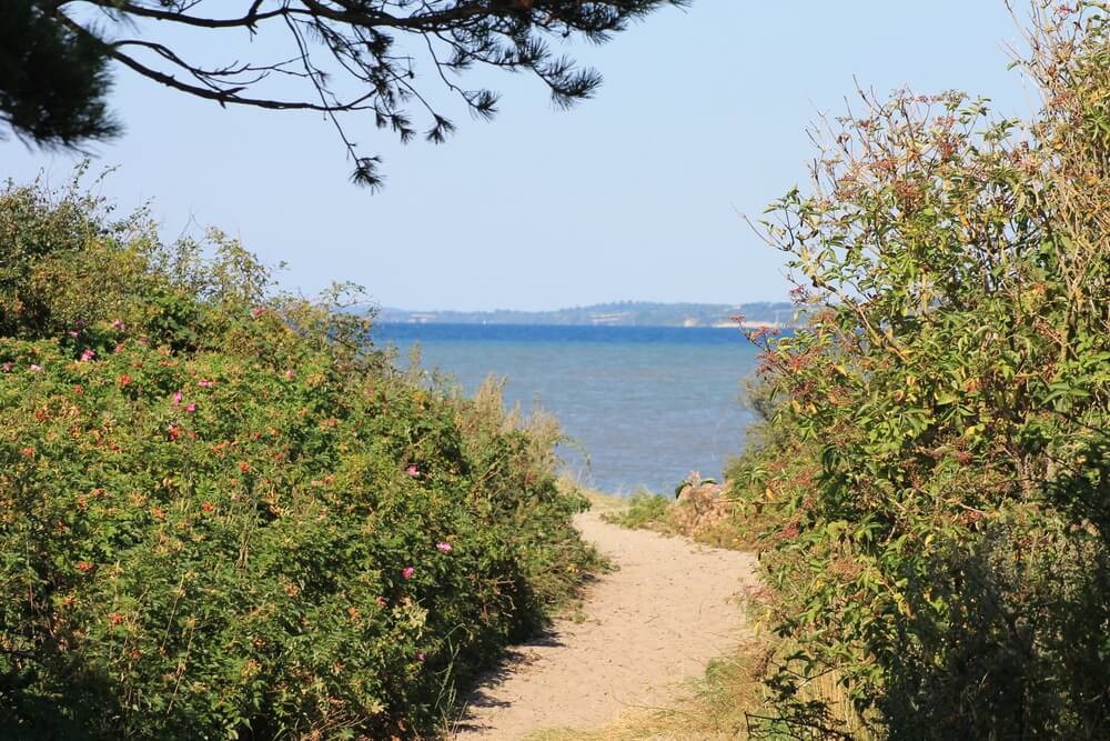 Der Strand in der Nähe von Luxusferienhaus Nr. 242 in Südjütland lädt zum Spazierengehen ein.