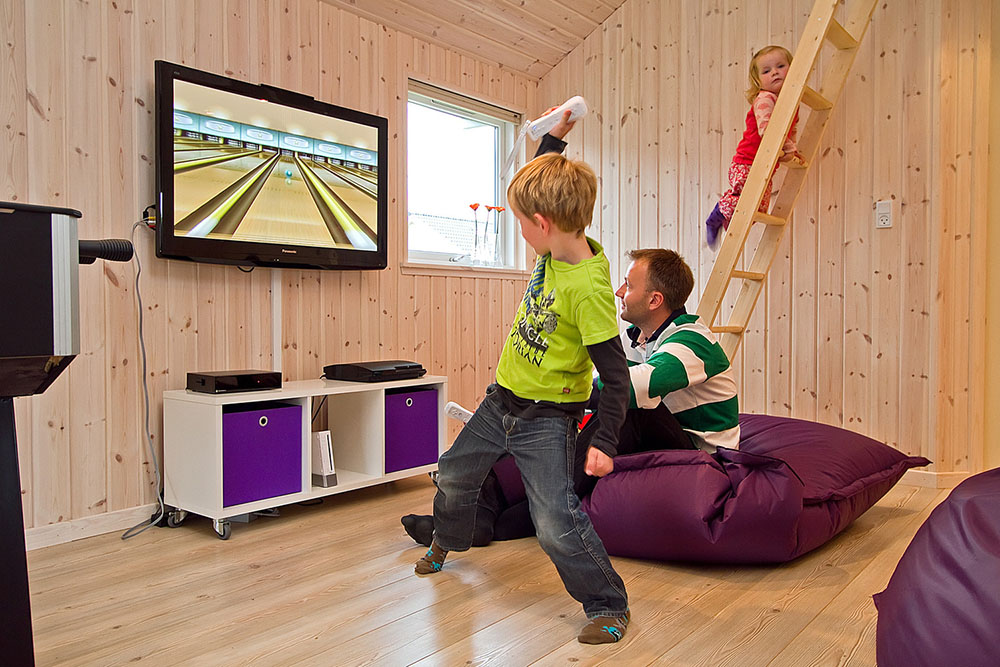 Spiel und Spaß mit der Wii und Playstation 3