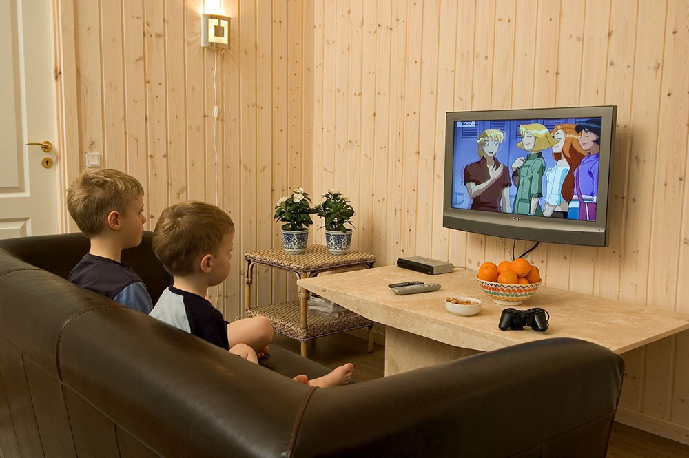 Machen Sie es sich bei einem guten Film gemütlich oder spielen Sie eine Runde an der angeschlossenen Playstation 2