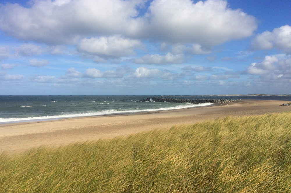 Der Strand in der Nähe von Luxusferienhaus Nr. 293.