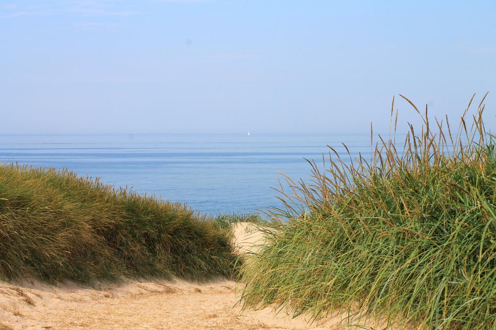 Der herrliche Strand in der Nähe von Luxusferienhaus Nr. 293 bei Westjütland.