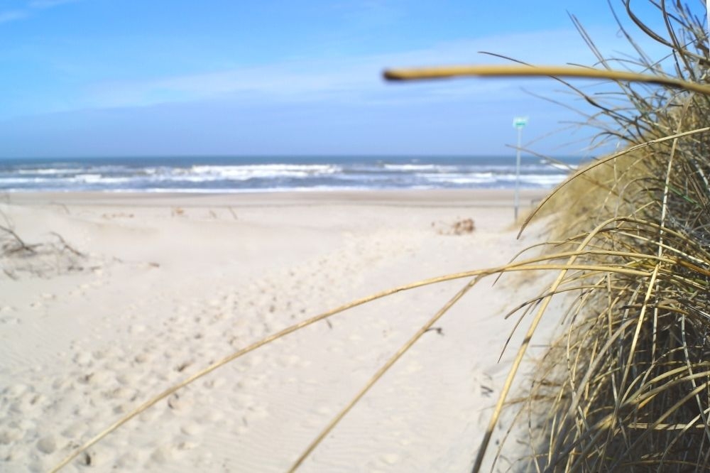 Der Strand in der Nähe von Luxusferienhaus Nr. 135 in Westjütland lädt zum Spazierengehen ein.