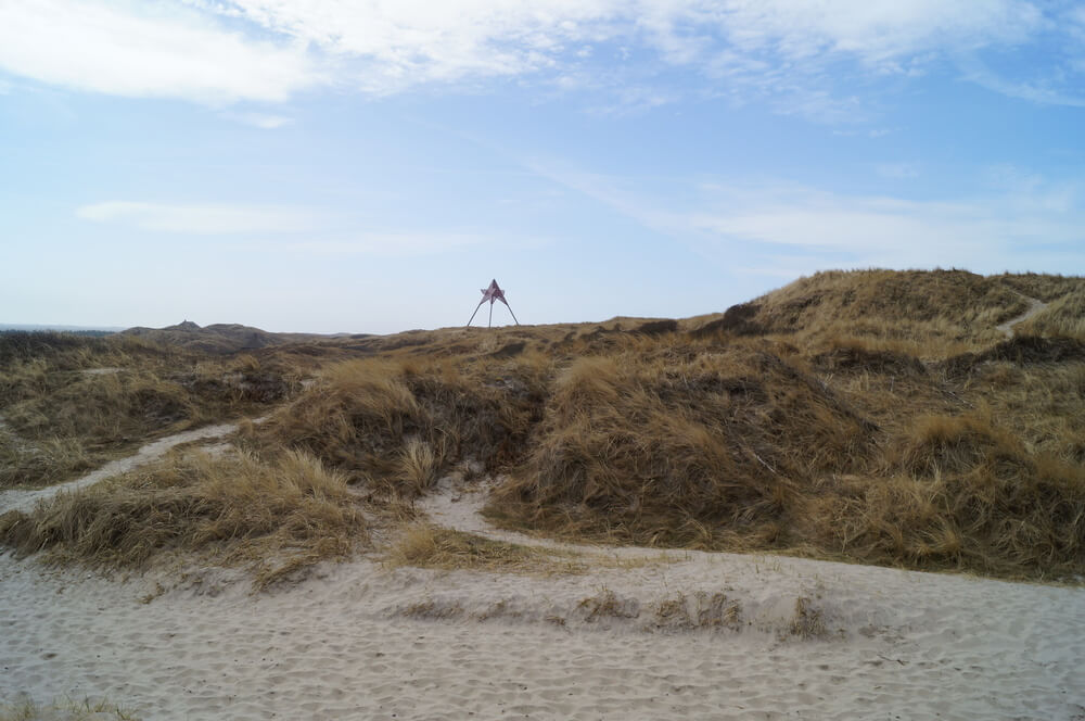 Der Strand in der Nähe von Luxusferienhaus Nr. 146 in Westjütland lädt zum Spazierengehen ein.