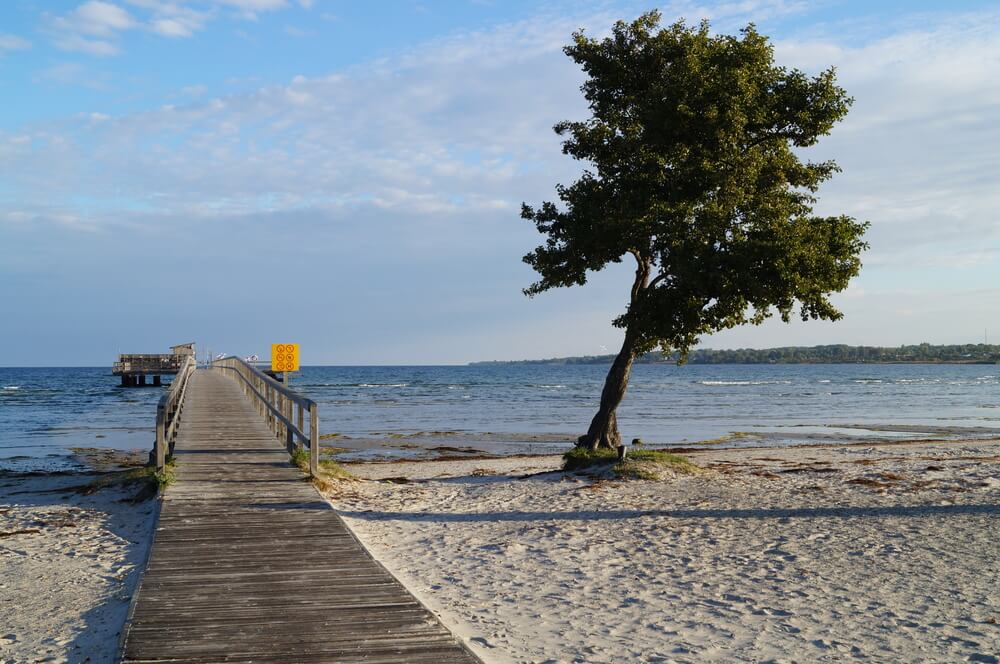 Der Strand in der Nähe von Luxusferienhaus Nr. 127 in Schweden lädt zum Spazierengehen ein.