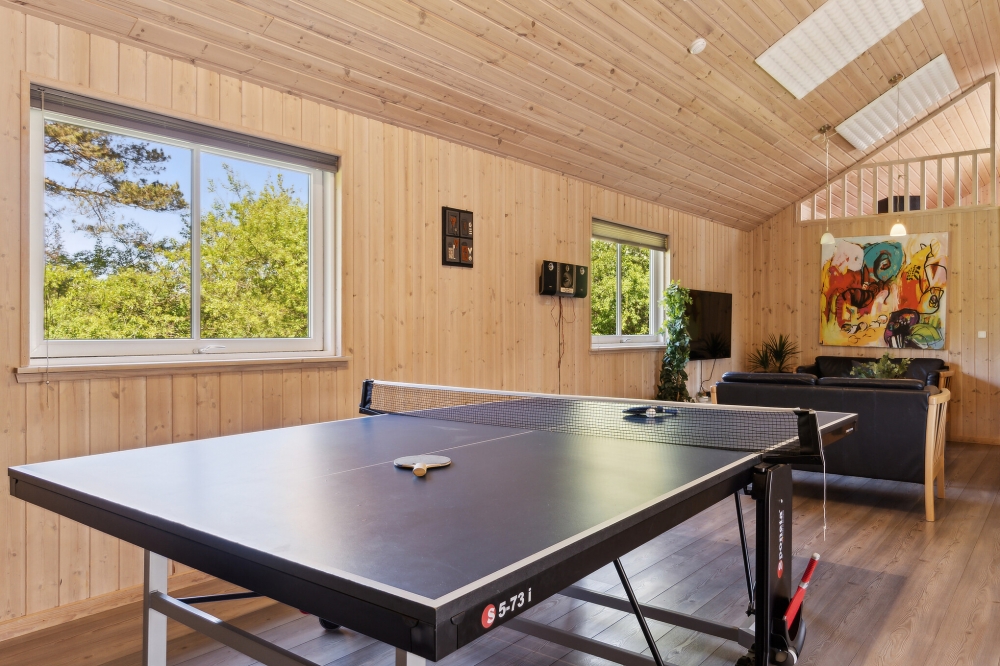 Das Luxusferienhaus 261 für 24 Personen hat einen großen Aktivitätsraum mit u. a. Billard und Darts