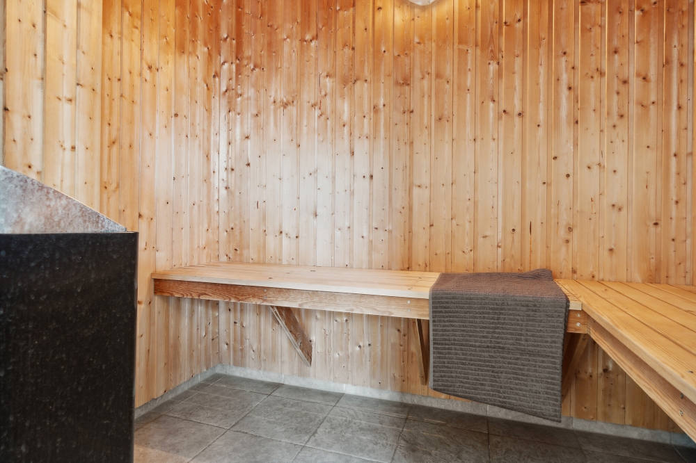 Genießen Sie die heiße Sauna im Luxusferienhaus Nr. 261 für 24 Personen