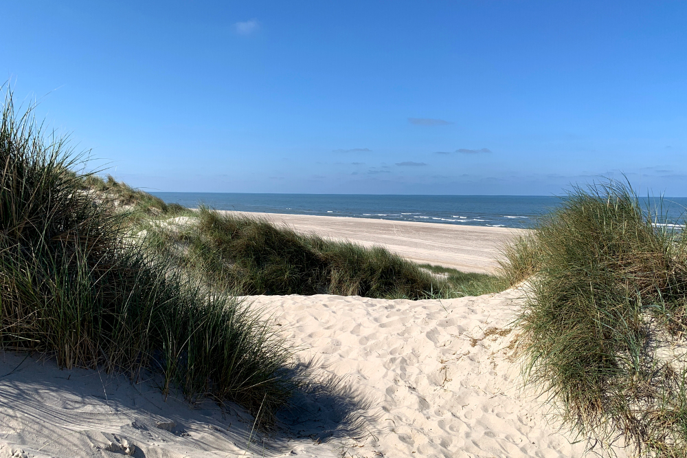 Der Strand in der Nähe von Luxusferienhaus Nr. 247.